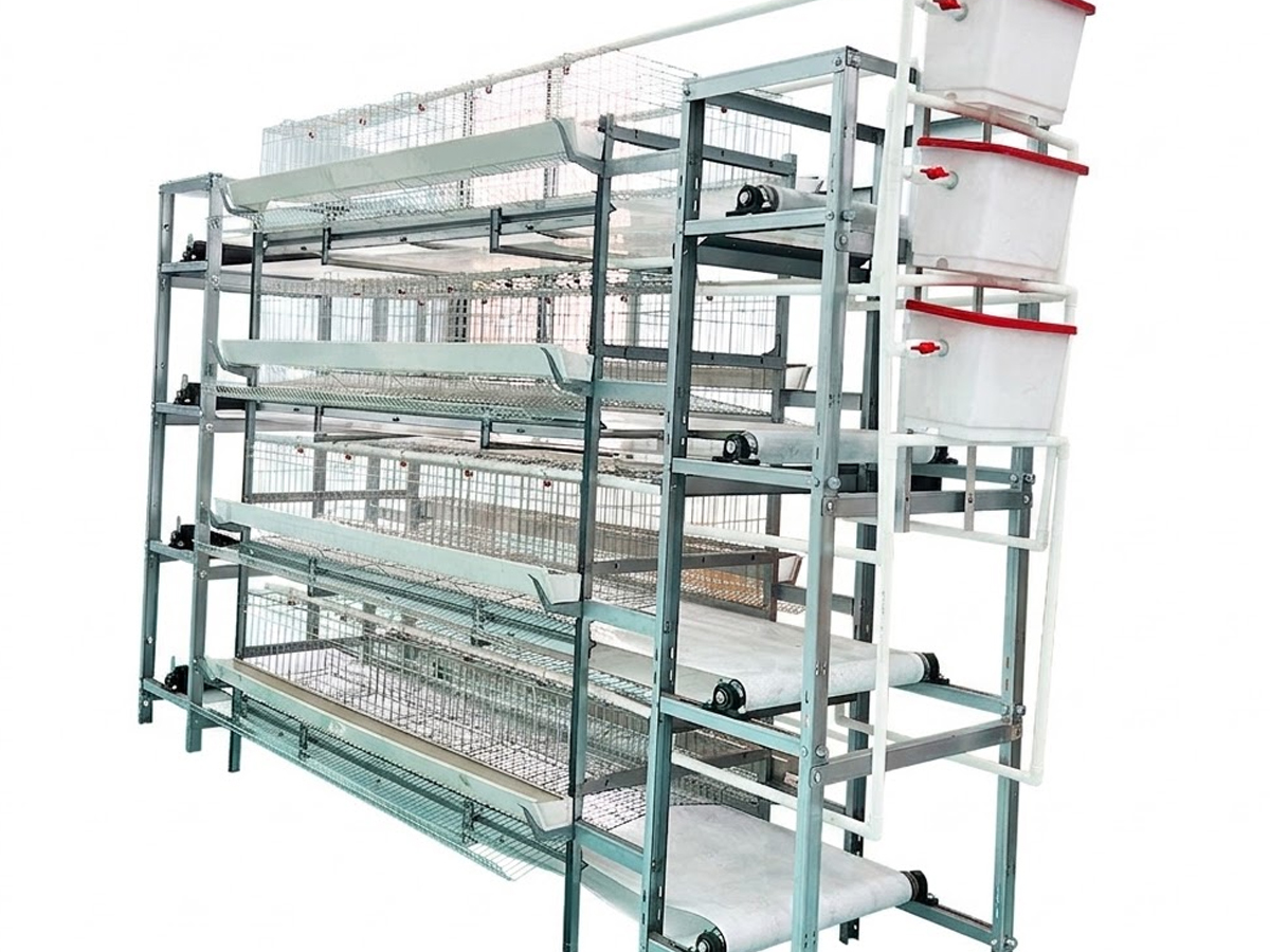 H Type Manual Manure Removal Chicken Layer Cage